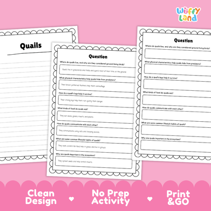 Three printable worksheet pages for a 'Quills' unit, displayed on a pink background with promotional text reading 'Clean Design', 'No Prep Activity', and 'Print & GO'. The worksheets feature black text and lines on white paper with decorative borders.
