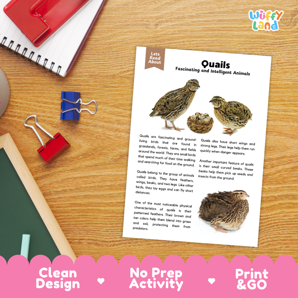 An educational activity sheet titled 'Quails: Fascinating and Intelligent Animals' by Wiffly Land, displayed on a wooden desk with a spiral notebook, red binder clips, and a blue pencil. The sheet features text and two color illustrations of quails.