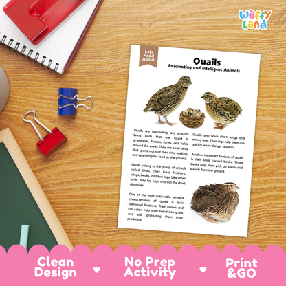 An educational activity sheet titled 'Quails: Fascinating and Intelligent Animals' by Wiffly Land, displayed on a wooden desk with a spiral notebook, red binder clips, and a blue pencil. The sheet features text and two color illustrations of quails.