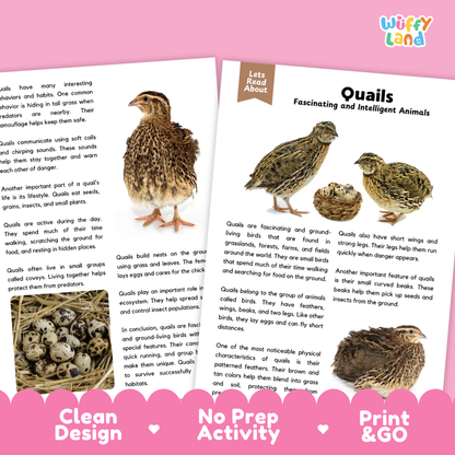 Two printed educational activity sheets about quails, shown on a pink background with the text 'Wiffly Land' at the top and promotional text along the bottom. The sheets contain text blocks, small animal photos, and activity instructions.