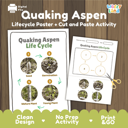 Quaking Aspen Life Cycle Poster and Cut and Paste Activity Worksheet
