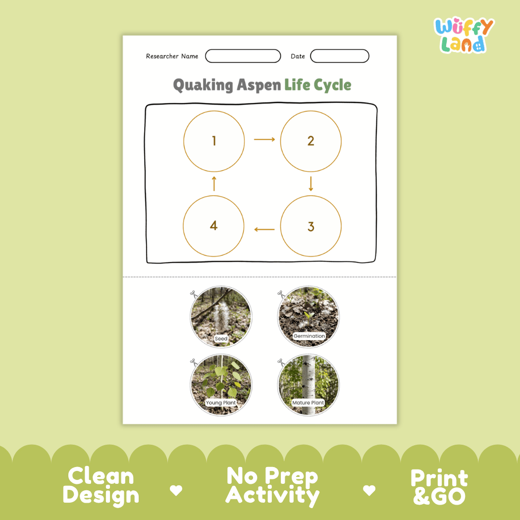 Quaking Aspen Life Cycle Poster and Cut and Paste Activity Worksheet