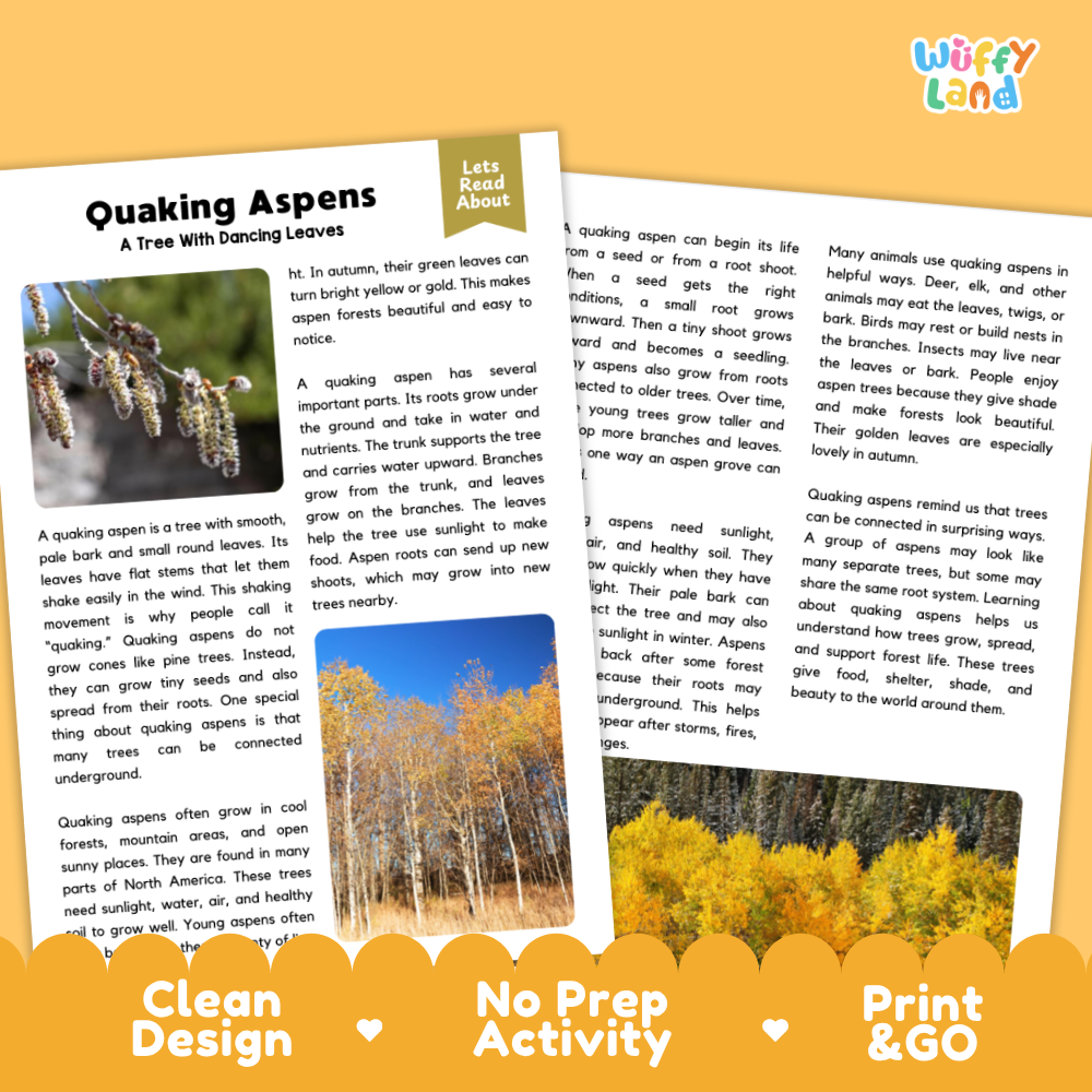 An educational printout activity sheet titled 'Quaking Aspen' with a small inset photo of a tree, explanatory text, and decorative labels on a white background.
