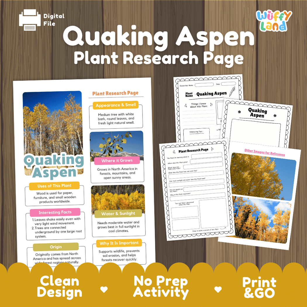 Quaking Aspen Plant Research Page Worksheets and Fact Sheet