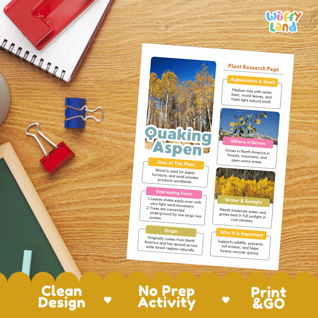 Quaking Aspen Plant Research Page Worksheets and Fact Sheet