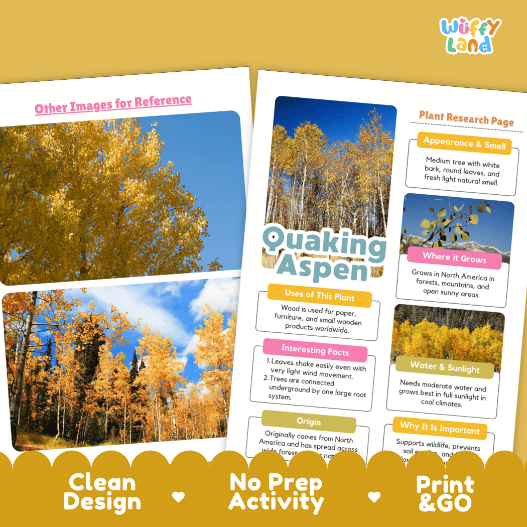 Quaking Aspen Plant Research Page Worksheets and Fact Sheet