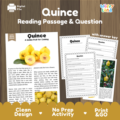Quince reading comprehension passage and questions printable activity pack with answer key for elementary students