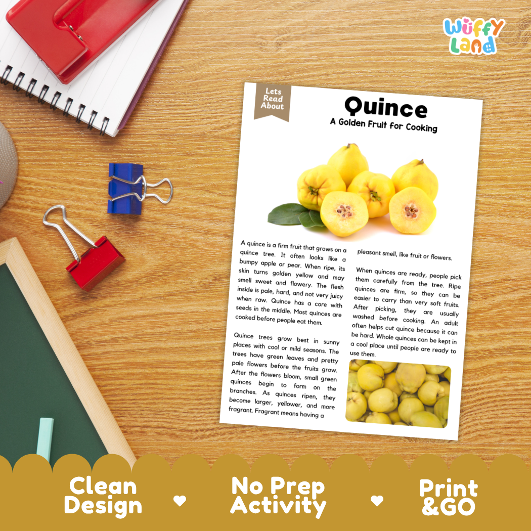 Student reading comprehension worksheet with short-answer questions and lined sections about the quince fruit