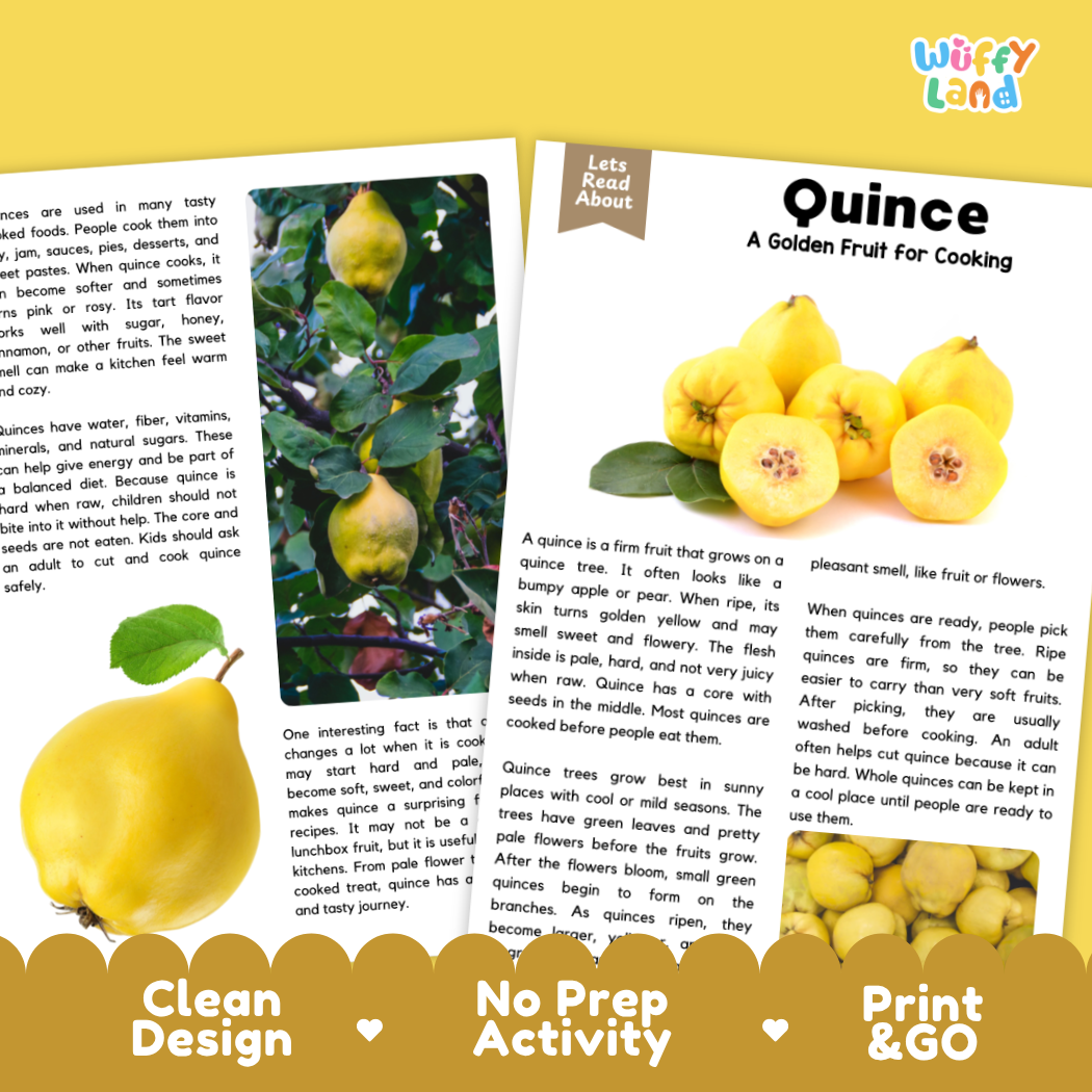 Teacher answer key page showing complete question solutions for Quince nature and science reading comprehension practice