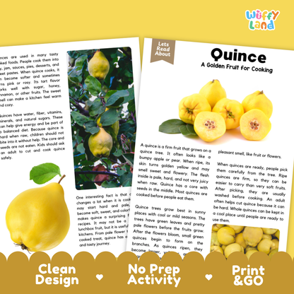 Teacher answer key page showing complete question solutions for Quince nature and science reading comprehension practice