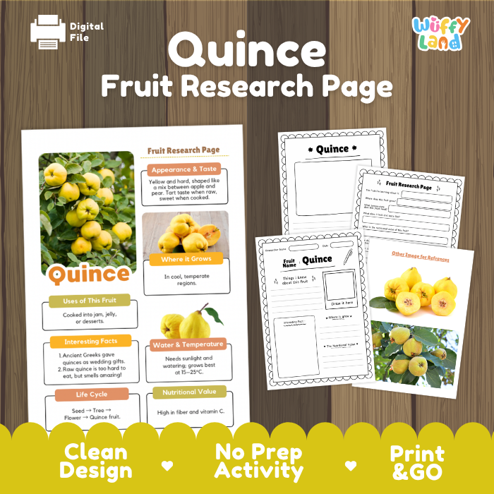 Quince Fruit Research Page Worksheets and Fact Sheet