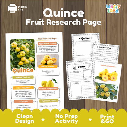 Quince Fruit Research Page Worksheets and Fact Sheet