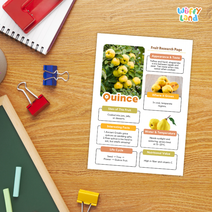 Quince Fruit Research Page Worksheets and Fact Sheet