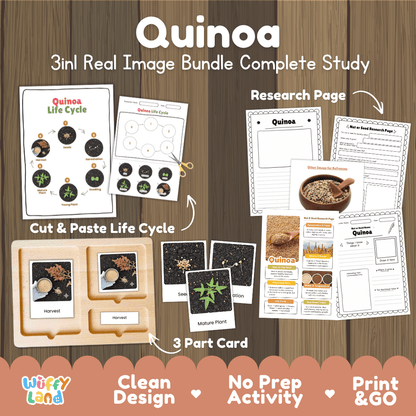 Complete Quinoa 3-in-1 real image study bundle featuring cut and paste worksheets, Montessori 3-part cards, and research pages 🌾🌱
