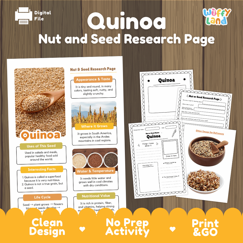 Quinoa Nut and Seed Research Page Worksheets and Fact Sheet