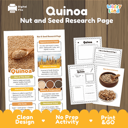 Quinoa Nut and Seed Research Page Worksheets and Fact Sheet