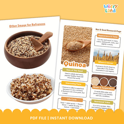 Quinoa Nut and Seed Research Page Worksheets and Fact Sheet