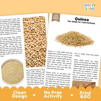 Quinoa Reading Passage and Comprehension Questions Worksheets with Answer Key