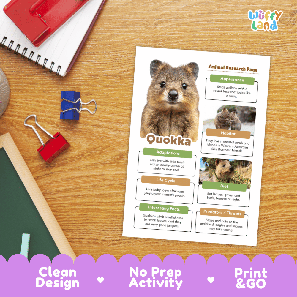 Quokka Animal Research Page Graphic Organizers and Worksheets
