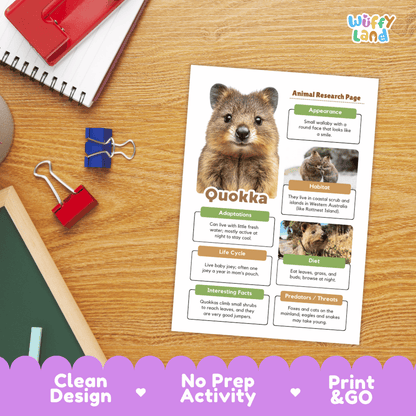 Quokka Animal Research Page Graphic Organizers and Worksheets