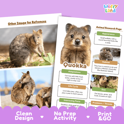 Quokka Animal Research Page Graphic Organizers and Worksheets