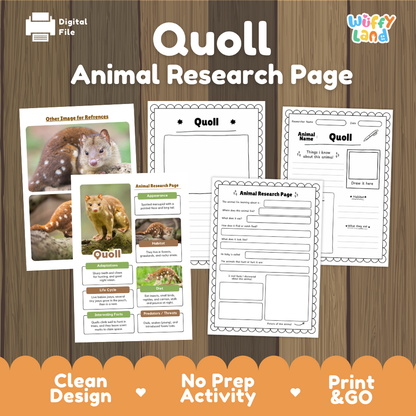 Quoll Animal Research Page Worksheets