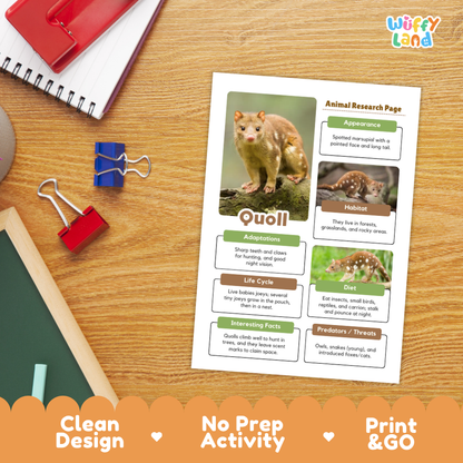 Quoll Animal Research Page Worksheets
