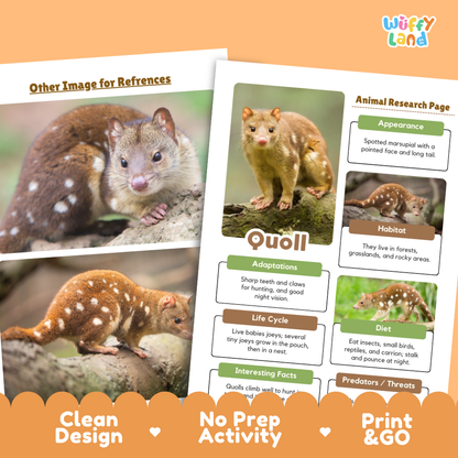 Quoll Animal Research Page Worksheets