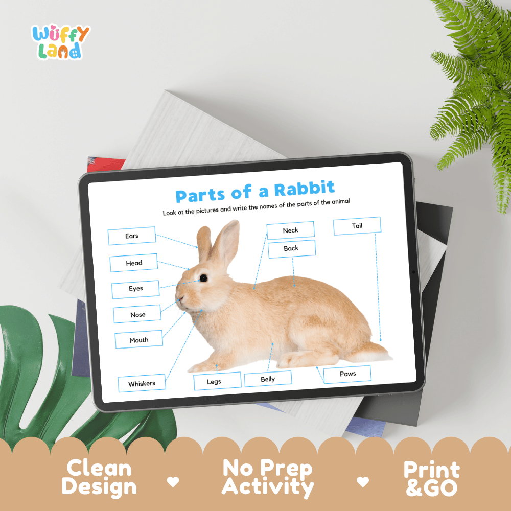 Educational cut and paste rabbit anatomy worksheet with printable word cutout tiles for head, ears, whiskers, paws, and tail