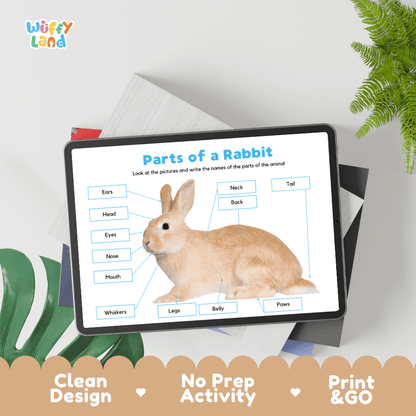 Educational cut and paste rabbit anatomy worksheet with printable word cutout tiles for head, ears, whiskers, paws, and tail