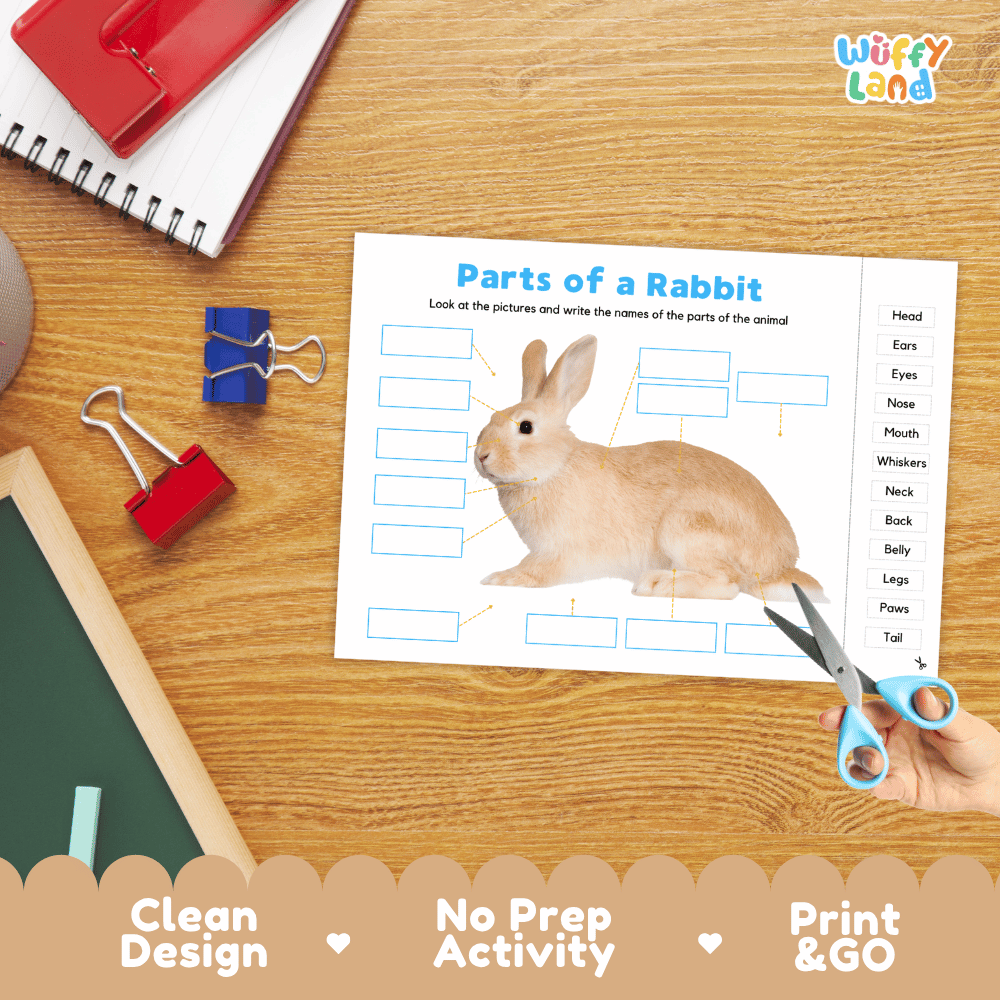 Printable animal body parts worksheet showing a realistic rabbit with blank labeling boxes and a vocabulary word bank for writing practice