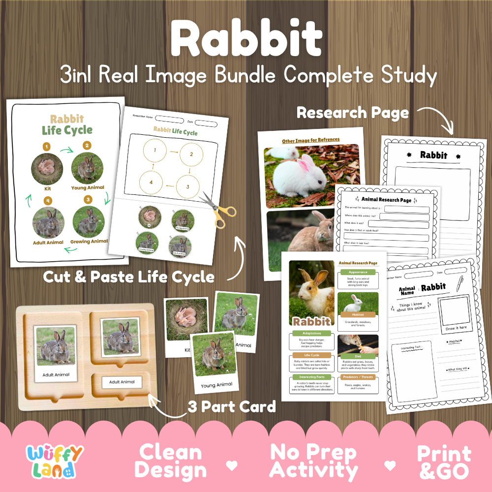 Rabbit 3-in-1 real image bundle complete study cover showing cut and paste life cycle, 3 part cards, and research pages