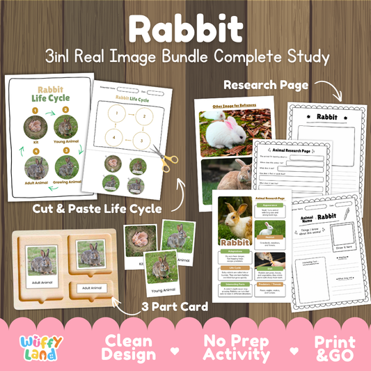 Rabbit 3-in-1 real image bundle complete study cover showing cut and paste life cycle, 3 part cards, and research pages