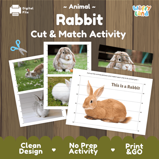 Rabbit Cut and Match Activity Worksheets | Pet Animal Puzzle Printables
