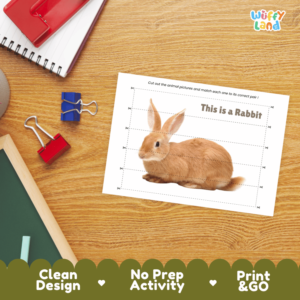 Rabbit Cut and Match Activity Worksheets | Pet Animal Puzzle Printables