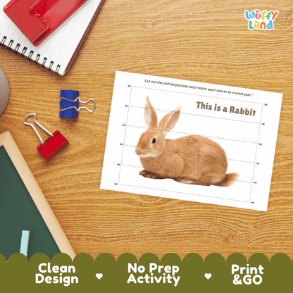 Rabbit Cut and Match Activity Worksheets | Pet Animal Puzzle Printables