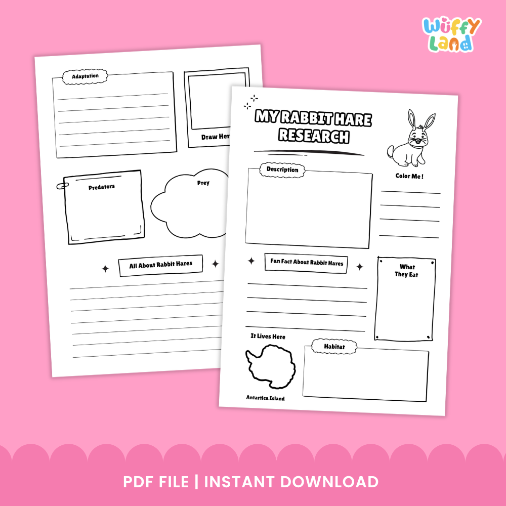 Rabbit Hare Science and Writing Craft Activity Worksheets