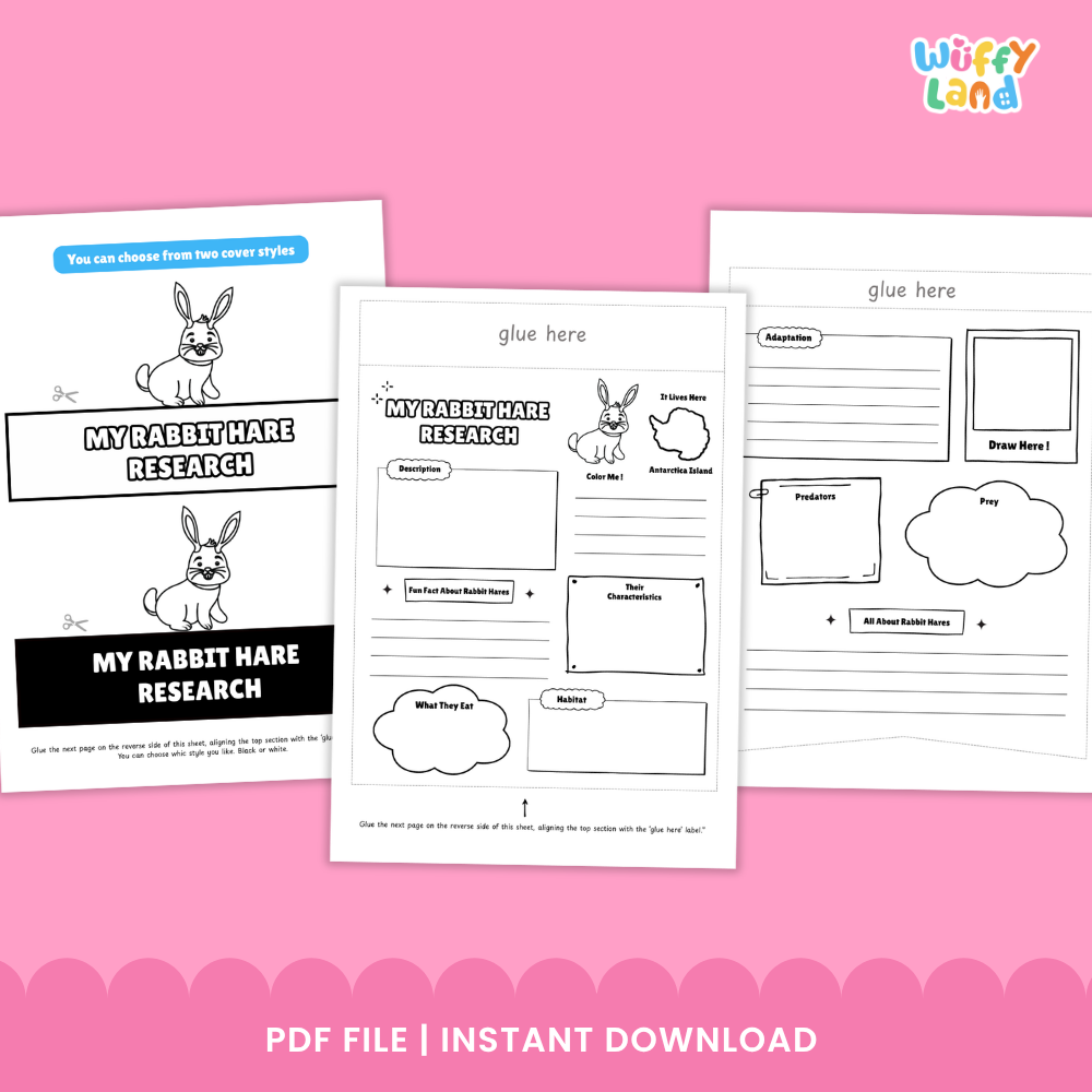 Three printable worksheet pages for a rabbit hare research project are shown on a pink background. The pages include labeled boxes for description, conclusions, hypotheses, and drawing areas, with cartoon rabbit illustrations and the text 'glue here.
