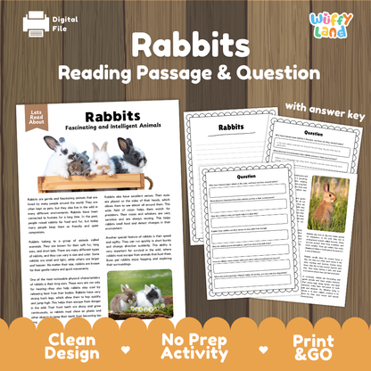 Digital reading activity sheet set about rabbits, shown on a wood background with the title 'Rabbits Reading Passage & Question' and the brand name 'Wiffy Land'. The layout includes a sample passage page with rabbit photos, worksheet pages with text and image areas, and promotional text at the bottom.