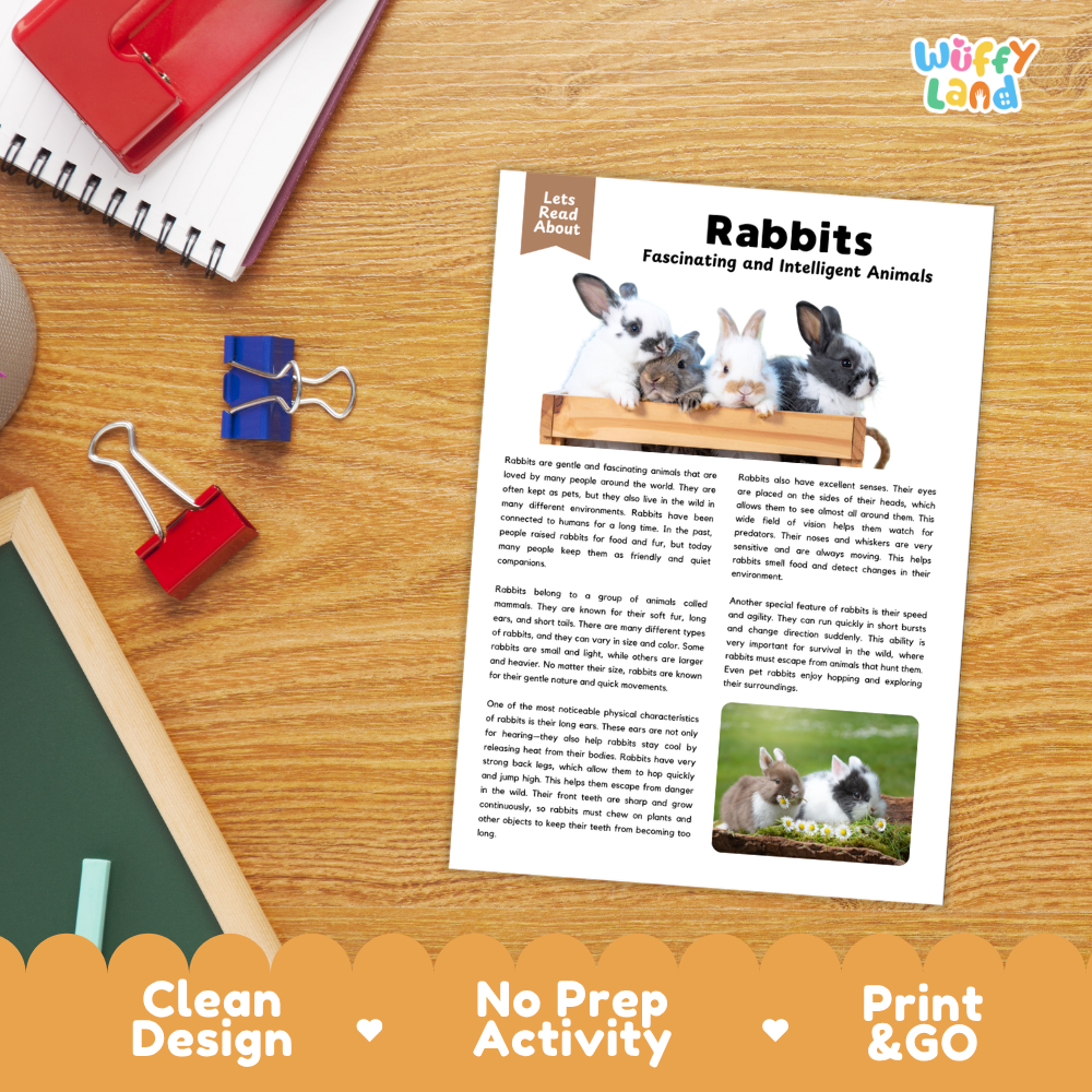 Rabbits Reading Passage and Comprehension Questions Worksheets with Answer Key