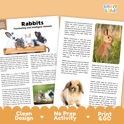 Rabbits Reading Passage and Comprehension Questions Worksheets with Answer Key