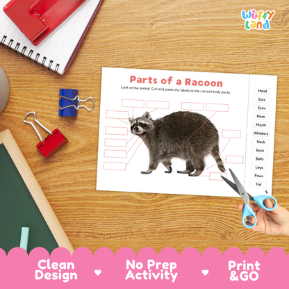 Raccoon body parts poster and labeling worksheet with real animal image for vocabulary, animal science and hands-on learning activities
