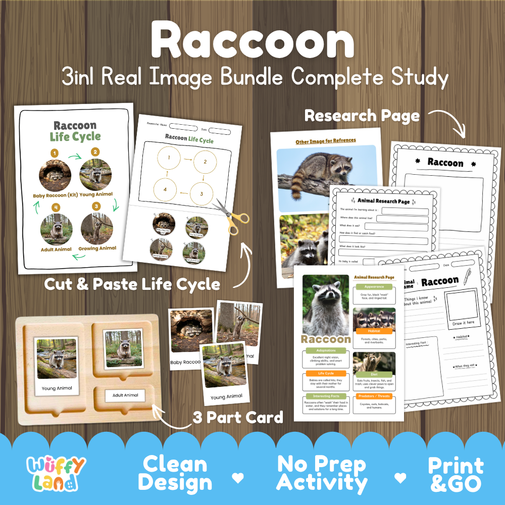 Raccoon 3-in-1 real image bundle complete study cover showing cut and paste life cycle, 3 part cards, and research pages
