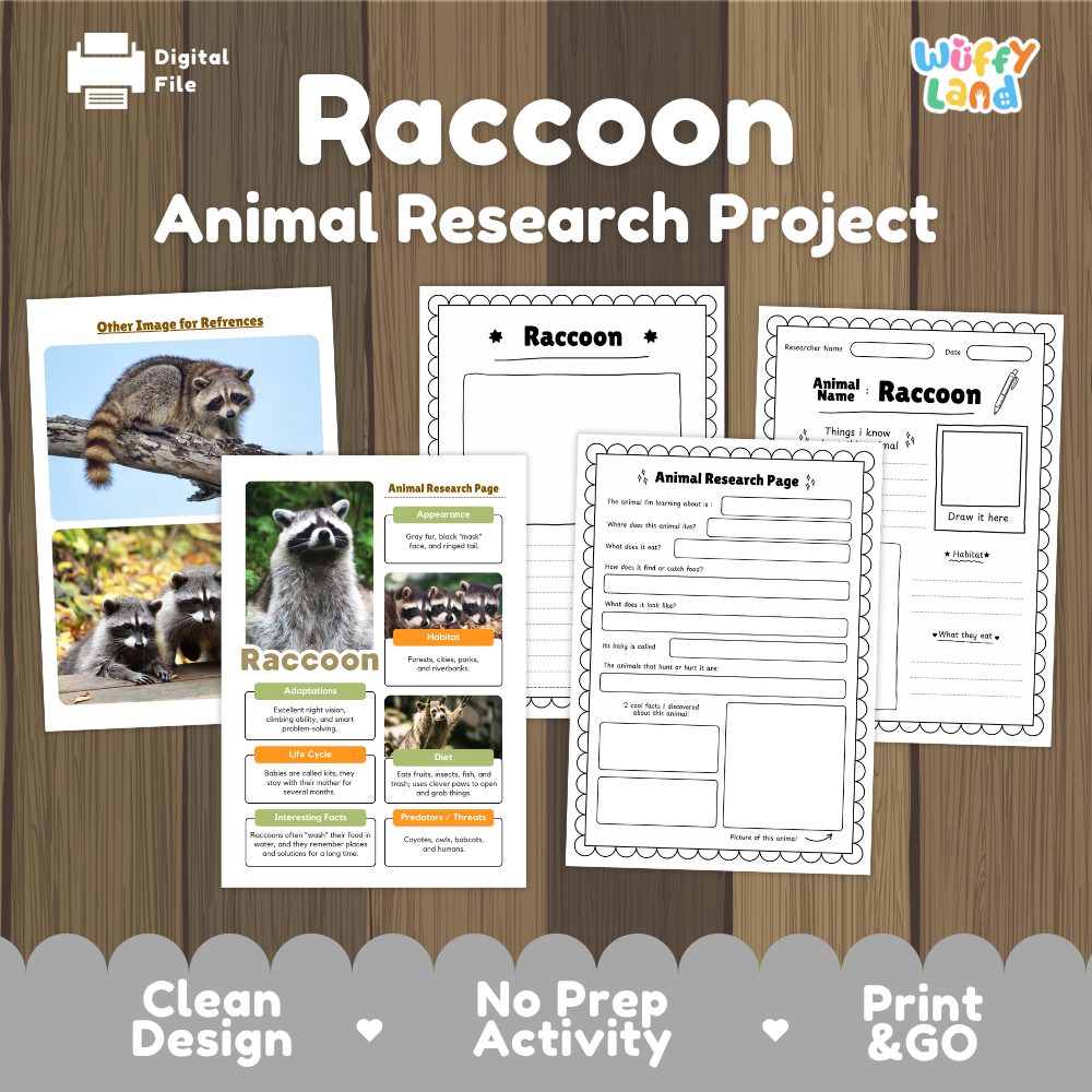 Digital download activity sheet set titled 'Raccoon Animal Research Project' on a wood-grain background. The set includes a reference image page, an animal research page, an animal research summary page, and an animal research graphic page.