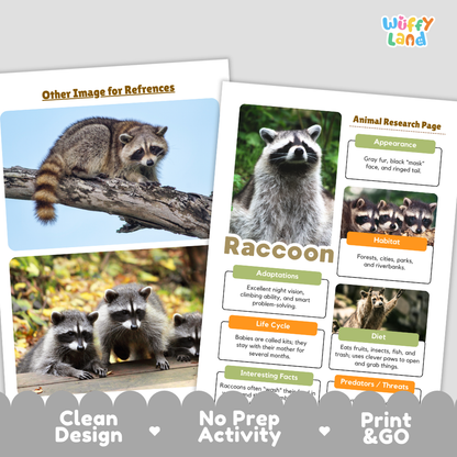 Educational activity sheets about raccoons from the brand Wiffy Land, featuring animal research pages with text sections and reference images of raccoons on a log.