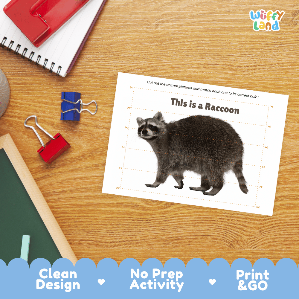 Raccoon Cut and Match Puzzle Activity Worksheets