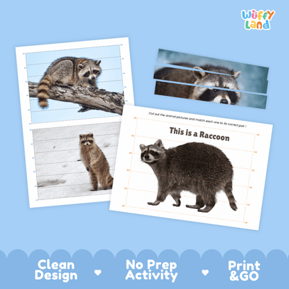 Raccoon Cut and Match Puzzle Activity Worksheets