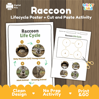 Raccoon Life Cycle Poster and Cut and Paste Activity Worksheets