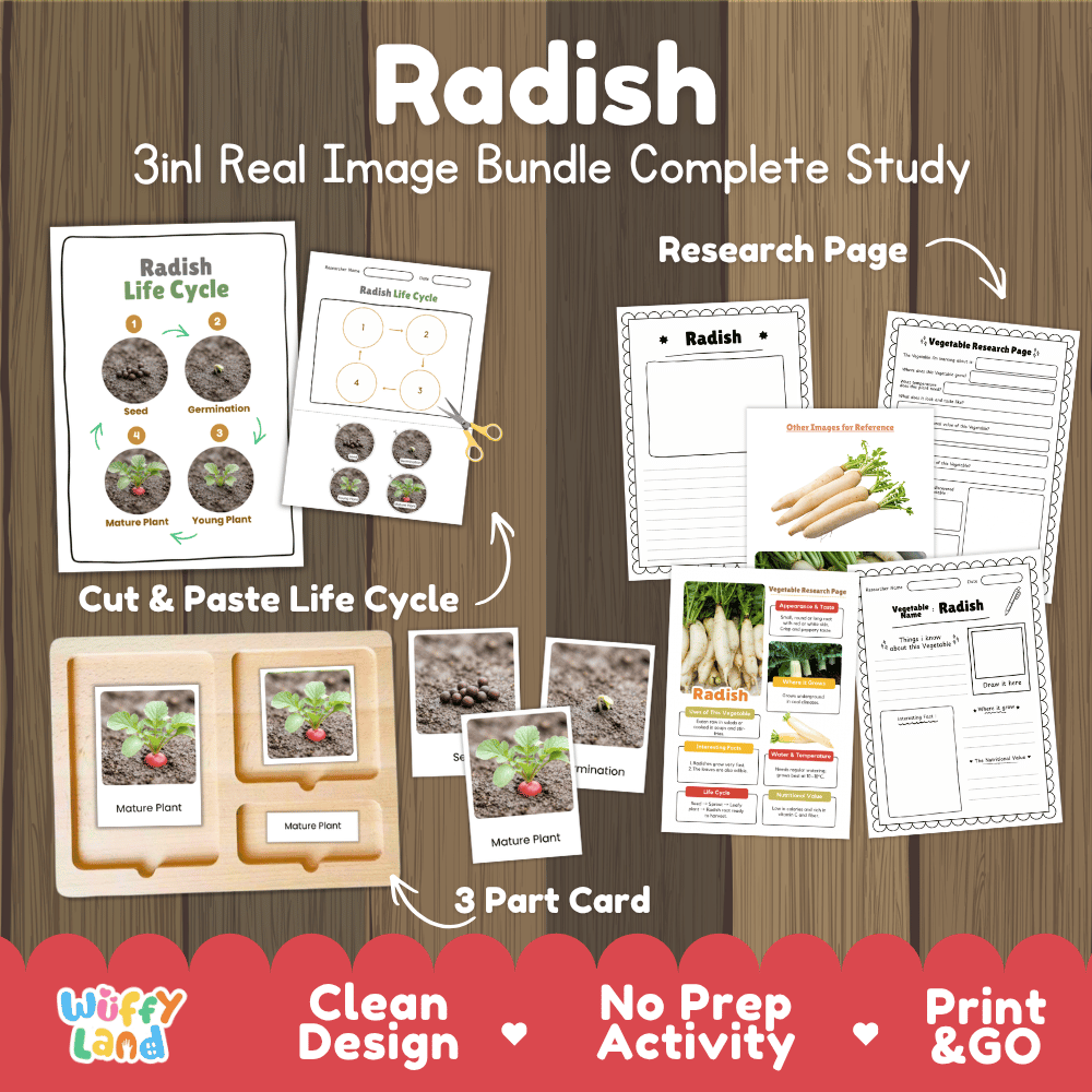 Radish 3in1 real image bundle complete study printable featuring life cycle cut and paste worksheets, Montessori 3-part cards, and research pages