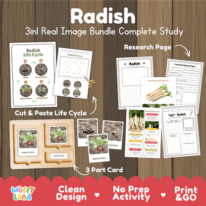 Radish 3in1 real image bundle complete study printable featuring life cycle cut and paste worksheets, Montessori 3-part cards, and research pages